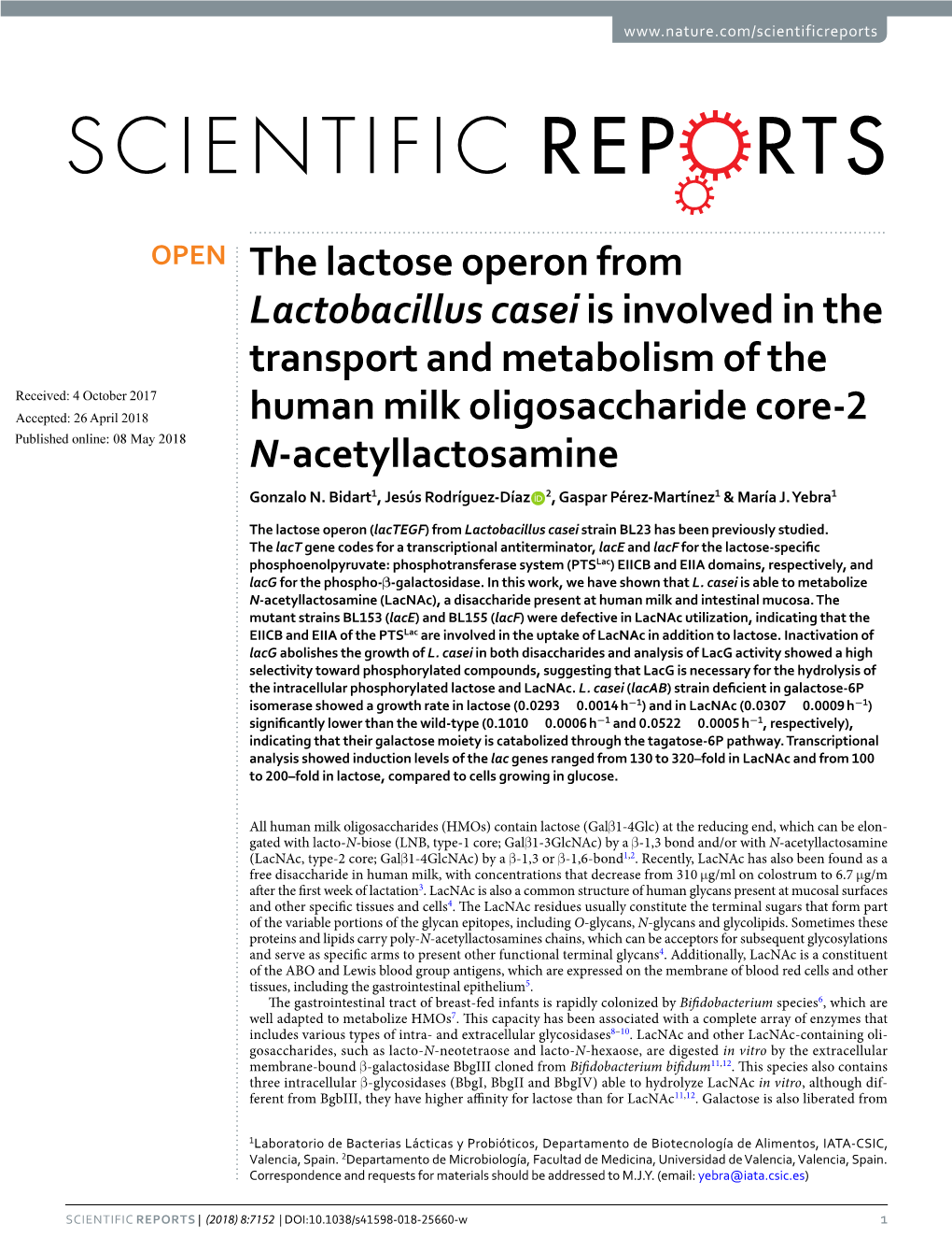 The Lactose Operon from Lactobacillus Casei Is Involved in the Transport