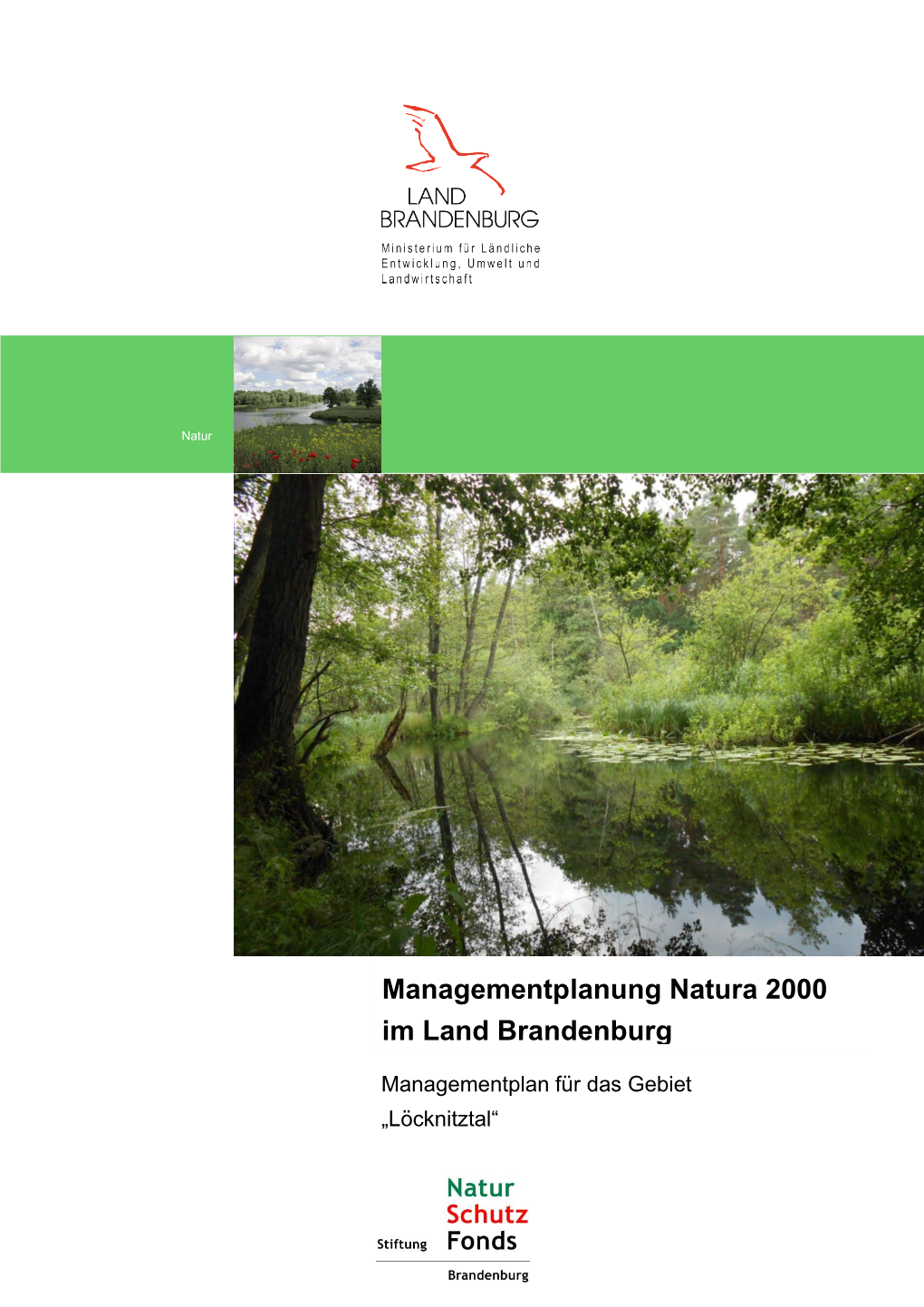 Managementplan Für Das FFH-Gebiet Löcknitztal