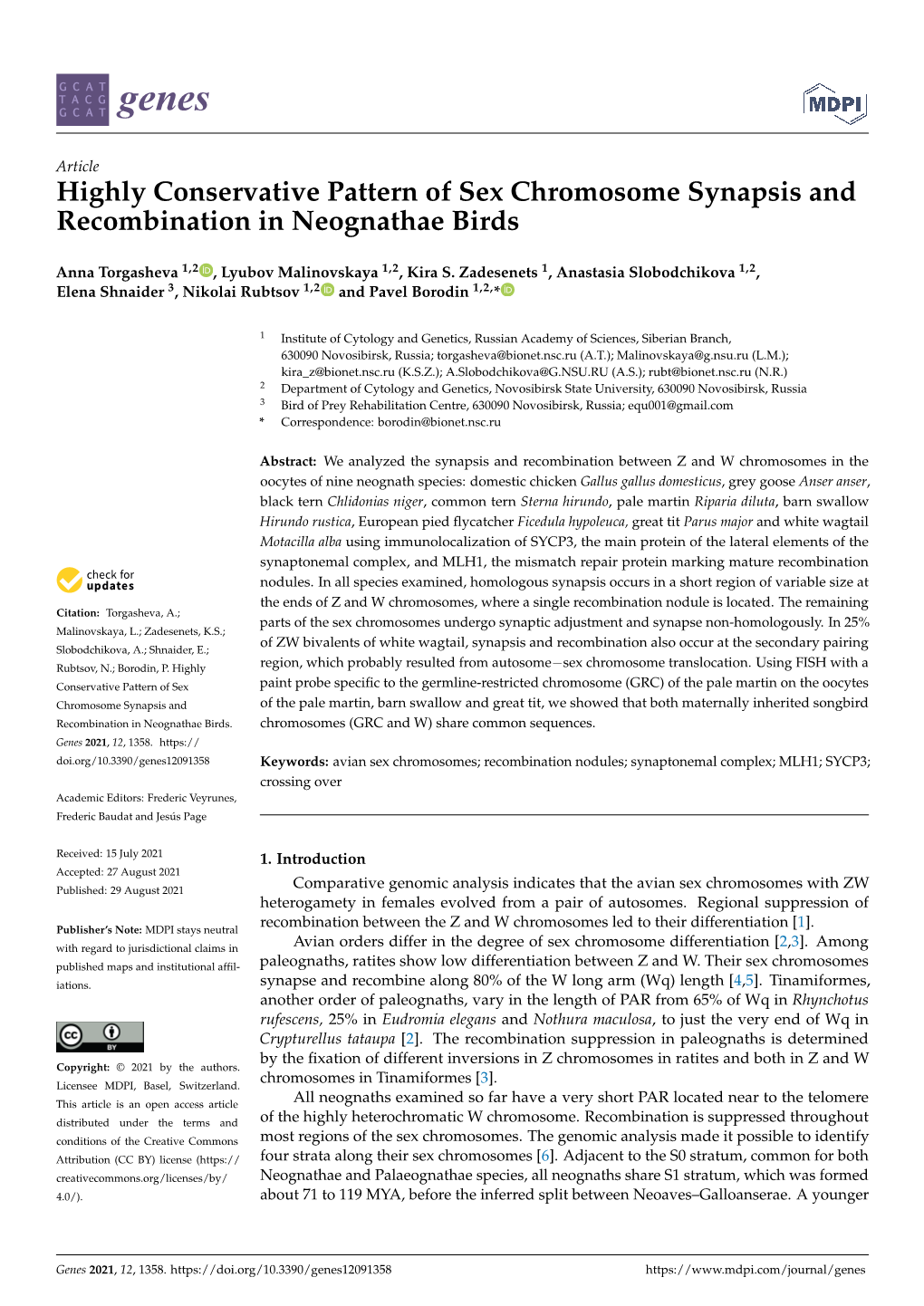 Highly Conservative Pattern of Sex Chromosome Synapsis and Recombination in Neognathae Birds