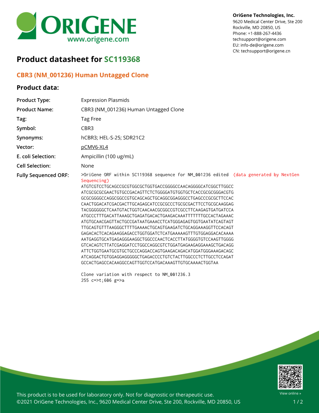 CBR3 (NM 001236) Human Untagged Clone – SC119368 | Origene