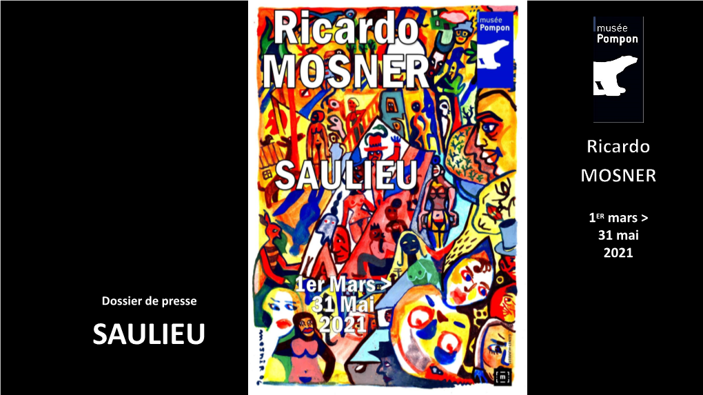 Dossier De Presse Ricardo Mosner