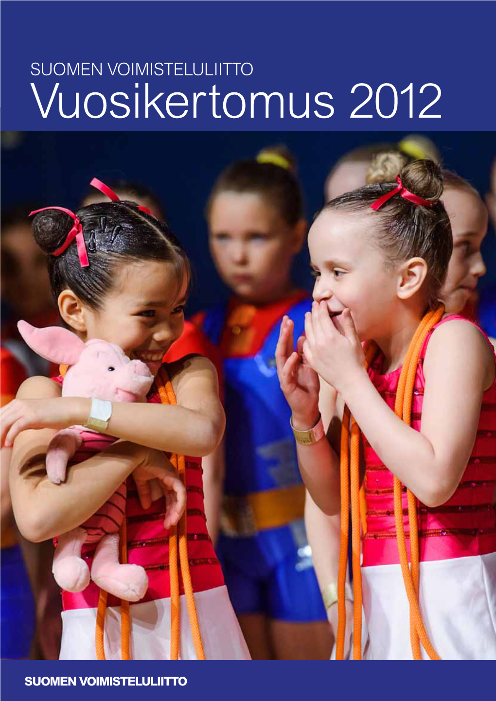 Vuosikertomus 2012