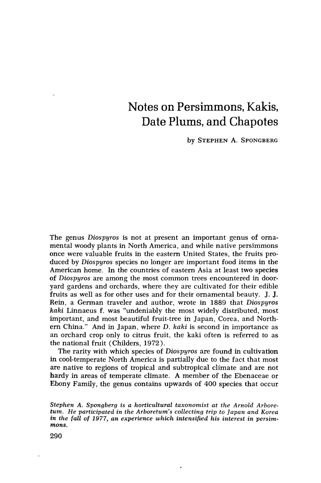 Notes on Persimmons, Kakis, Date Plums, and Chapotes by STEPHEN A