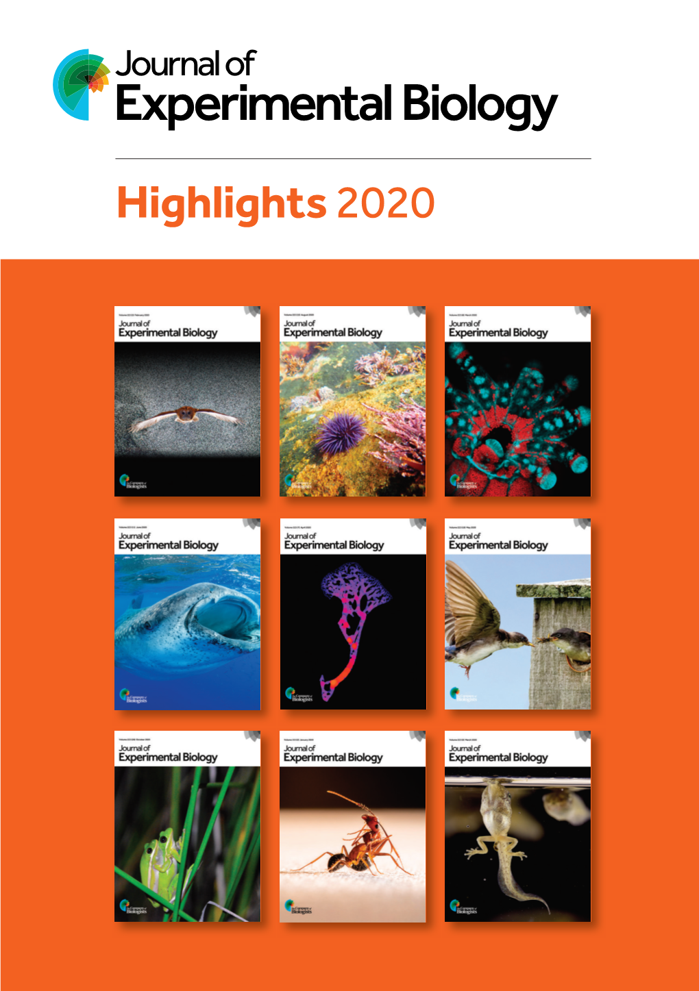 Hi Hli Ht 2020 Highlights2020