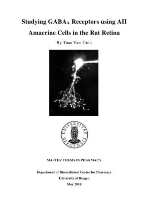 Studying GABAA Receptors Using AII Amacrine Cells in the Rat Retina by Tuan Van Trinh