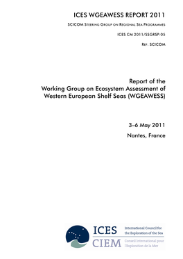 Report of the Working Group on Ecosystem Assessment of Western European Shelf Seas (WGEAWESS)