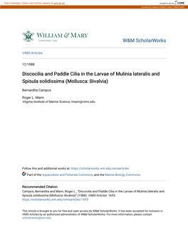 Discocilia and Paddle Cilia in the Larvae of Mulinia Lateralis and Spisula Solidissima (Mollusca: Bivalvia)