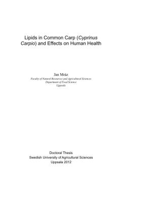 Lipids in Common Carp (Cyprinus Carpio) and Effects on Human Health