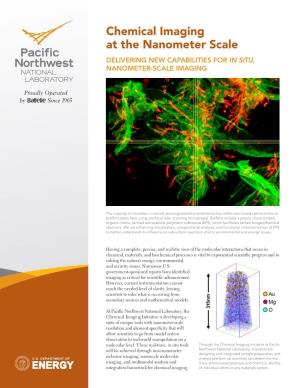 Chemical Imaging at the Nanometer Scale Delivering New Capabilities for in Situ, Nanometer-Scale Imaging