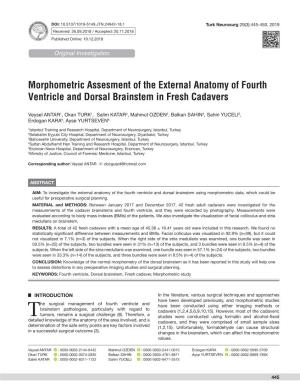 Morphometric Assesment of the External Anatomy of Fourth Ventricle and Dorsal Brainstem in Fresh Cadavers
