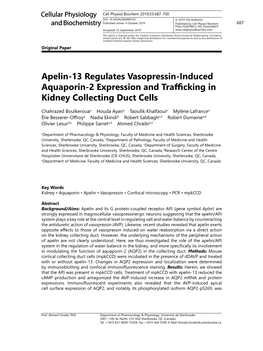 Apelin-13 Regulates Vasopressin-Induced Aquaporin-2 Expression and Trafficking in Kidney Collecting Duct Cells