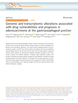 Genomic and Transcriptomic Alterations Associated with Drug Vulnerabilities and Prognosis in Adenocarcinoma at the Gastroesophageal Junction