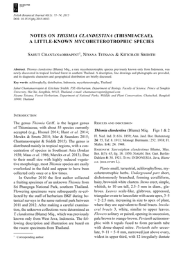 Notes on Thismia Clandestina (Thismiaceae), a Little-Known Mycoheterotrophic Species