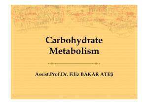 Carbohydrate Metabolism-1.Pptx