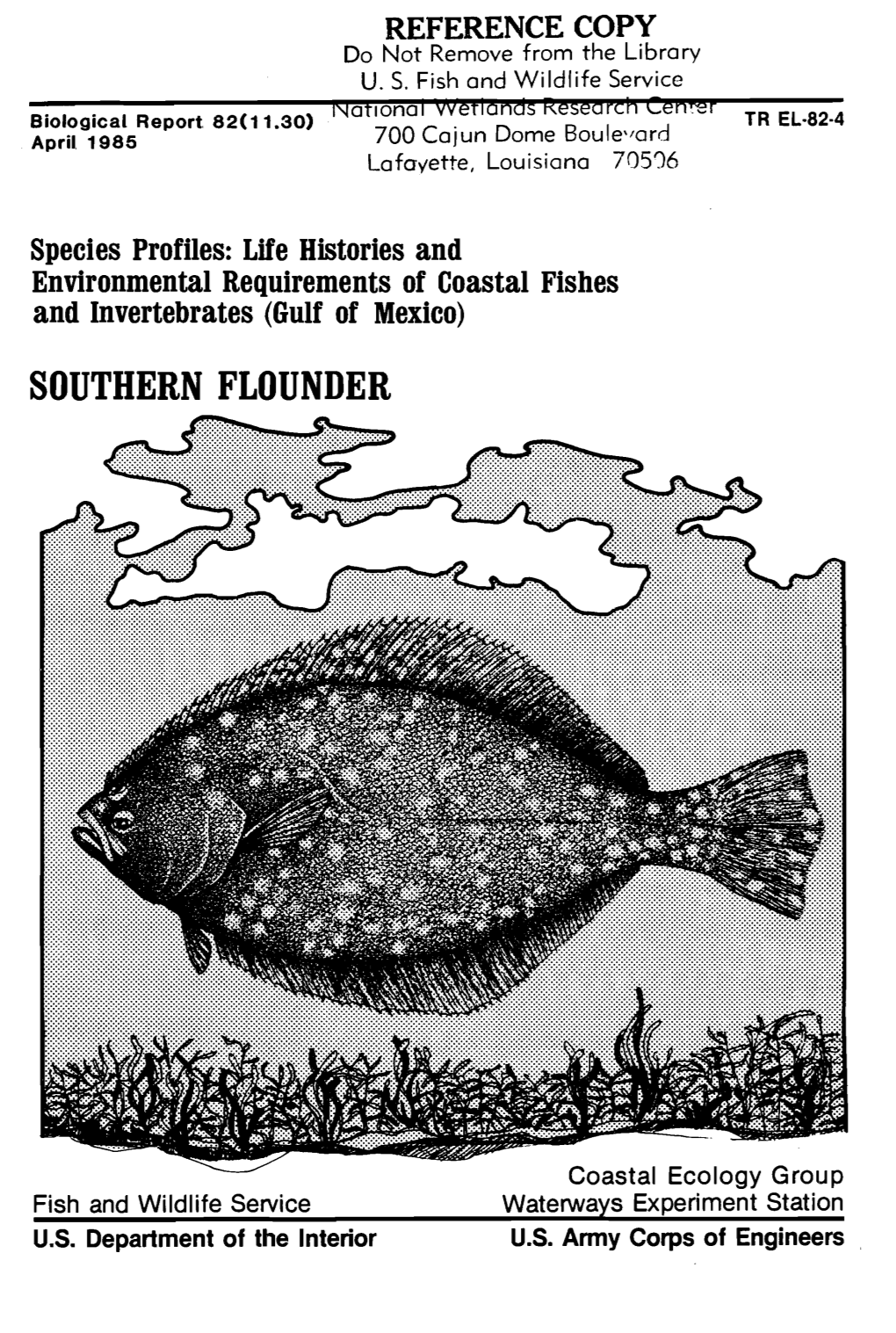 Southern Flounder