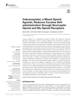 Cebranopadol, a Mixed Opioid Agonist, Reduces Cocaine Self- Administration Through Nociceptin Opioid and Mu Opioid Receptors