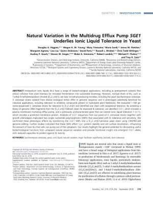 Natural Variation in the Multidrug Efflux Pump SGE1 Underlies Ionic