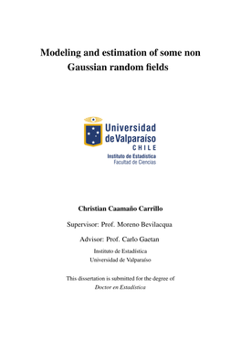 Modeling and Estimation of Some Non Gaussian Random Fields