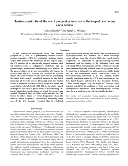 Tension Sensitivity of the Heart Pacemaker Neurons in the Isopod Crustacean Ligia Pallasii Akira Sakurai*,† and Jerrel L