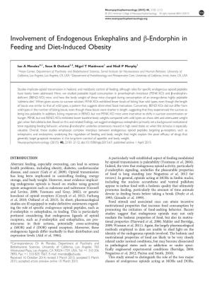 Endorphin in Feeding and Diet-Induced Obesity