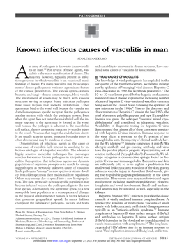 Known Infectious Causes of Vasculitis in Man
