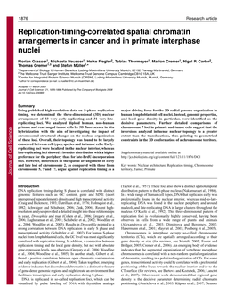 Replication-Timing-Correlated Spatial Chromatin Arrangements in Cancer and in Primate Interphase Nuclei