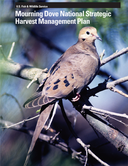 National Strategic Harvest Management Plan 2 Mourning Dove National Strategic Harvest Management Plan INTRODUCTION