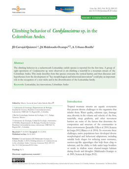 Climbing Behavior of Cordylancistrussp. in The