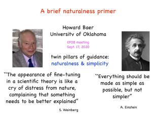 A Brief Naturalness Primer