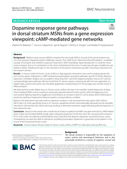 Dopamine Response Gene Pathways in Dorsal Striatum Msns from a Gene Expression Viewpoint: Camp‑Mediated Gene Networks Vladimir N