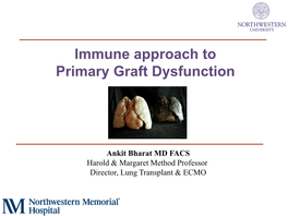 Immune Approach to Primary Graft Dysfunction