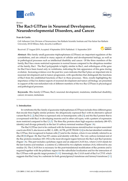 The Rac3 Gtpase in Neuronal Development, Neurodevelopmental Disorders, and Cancer
