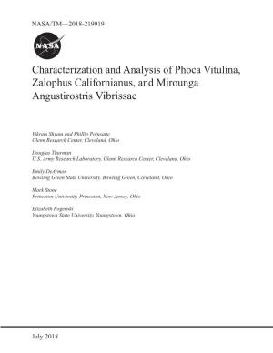 Characterization and Analysis of Phoca Vitulina, Zalophus Californianus, and Mirounga Angustirostris Vibrissae