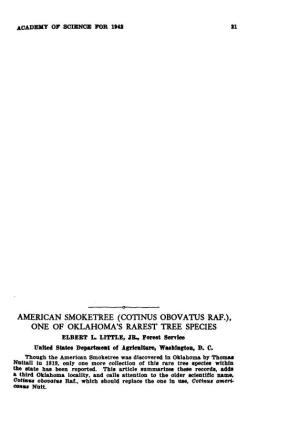 American Smoketree (Cotinus Obovatus Raf.)
