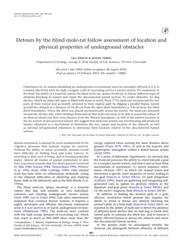 Detours of the Blind Mole-Rat Follow Assessment of Location and Physicalproperties of Underground Obstacles