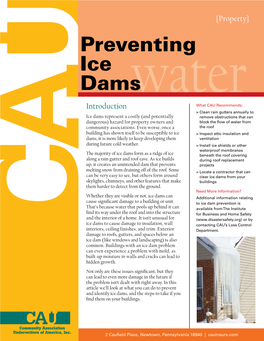 Preventing Ice Dams