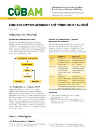 Synergies Between Adaptation and Mitigation