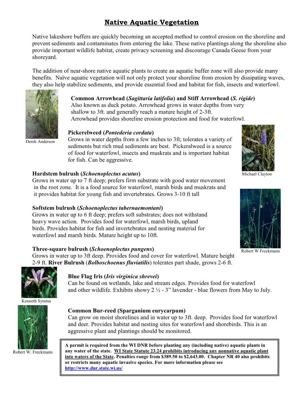 Native Aquatic Vegetation (PDF)