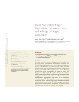 Plant Nucleotide Sugar Formation, Interconversion, and Salvage by Sugar Recycling*