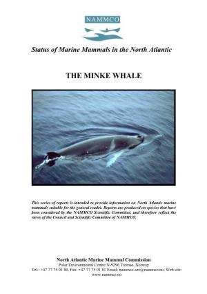The Minke Whale