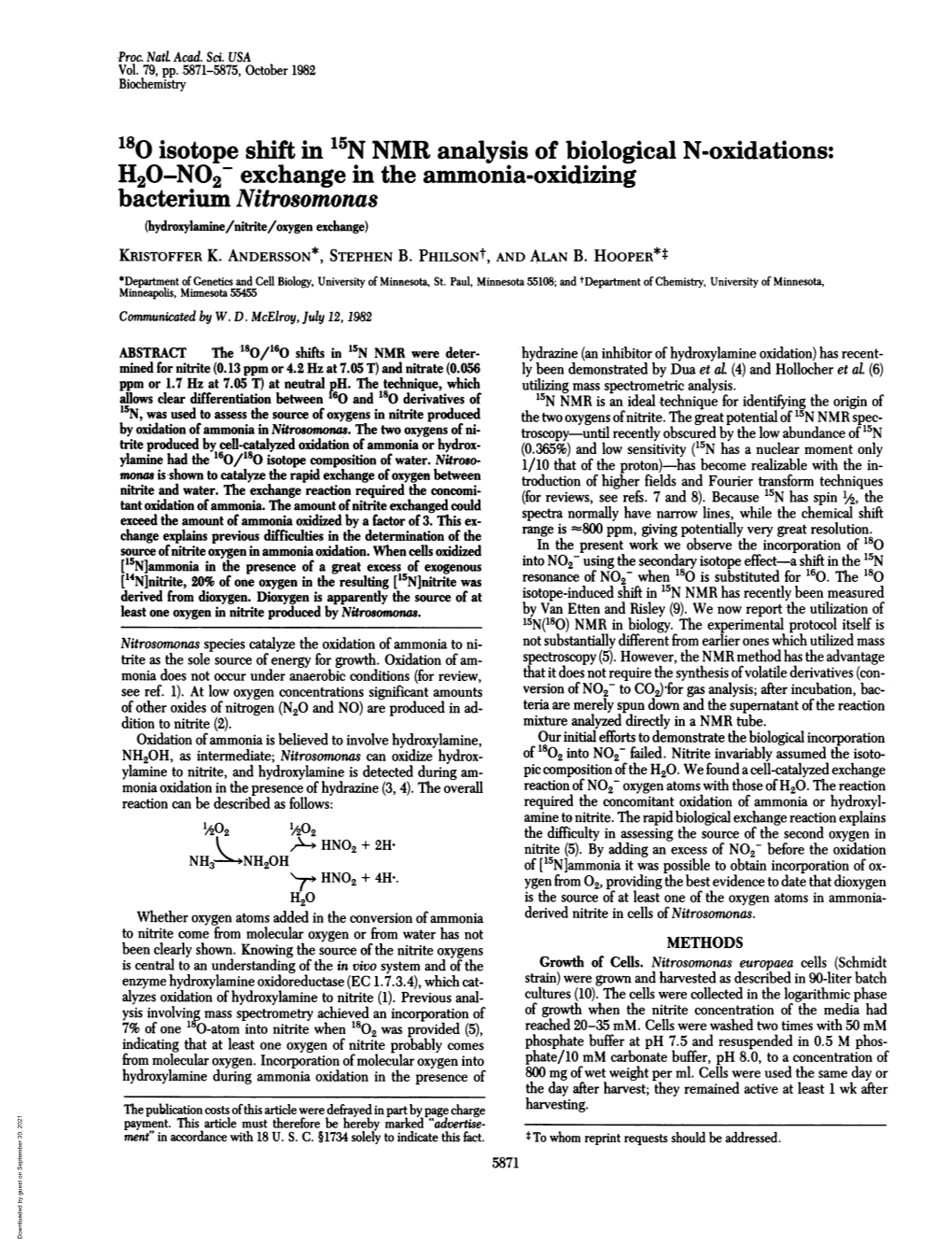 180 Isotope Shift in 15N NMR Analysis of Biological N-Oxidations