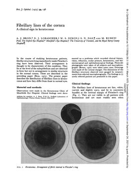 Fibrillary Lines of the Cornea a Clinical Sign in Keratoconus