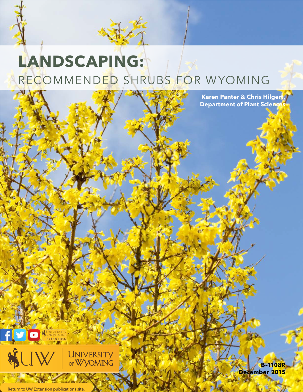 Landscaping: Recommended Shrubs for Wyoming