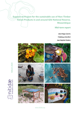 Support to Project for the Sustainable Use of Non-Timber Forest Products in and Around Gilé National Reserve, Mozambique Mid-Te