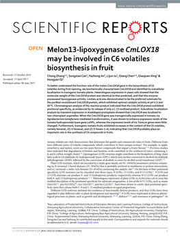 Melon13-Lipoxygenase Cmlox18 May Be Involved in C6 Volatiles