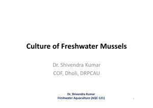 Culture of Freshwater Mussels