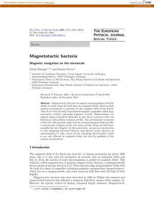 Magnetotactic Bacteria
