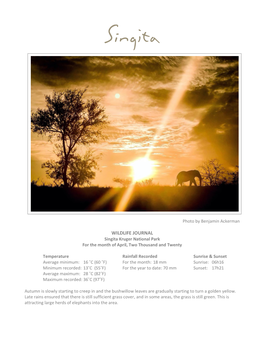 WILDLIFE JOURNAL Singita Kruger National Park for the Month of April, Two Thousand and Twenty