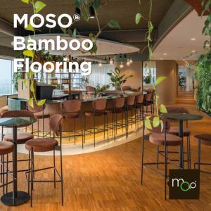 Bamboo Flooring Brochure