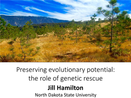 Preserving Evolutionary Potential: the Role of Genetic Rescue Jill Hamilton North Dakota State University Genetic Consequences of Rarity